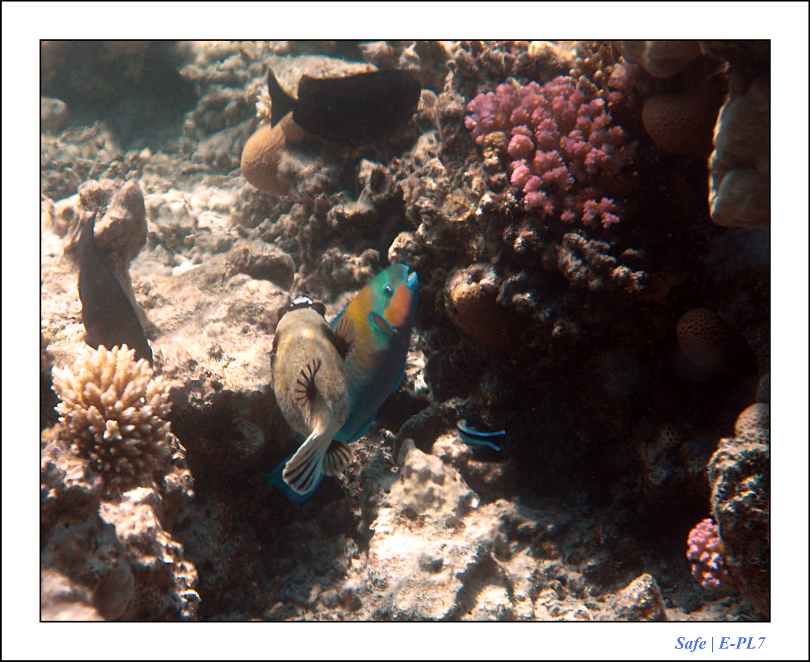 Hurghada - Juillet 2021 - 038